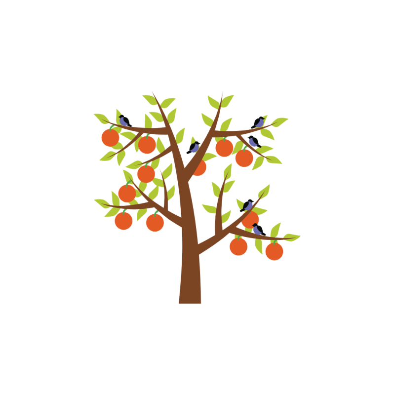 Le calendrier des fruits et légumes de&nbsp;saison